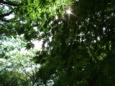 090912_滝の城跡公園_10