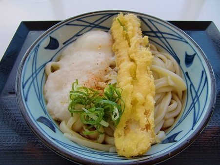 CIMG0554