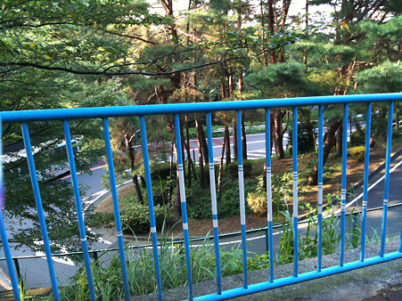 写真 3