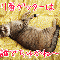 090801-【猫アニメ】大変にゃ！