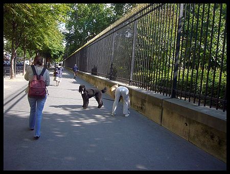P2050509