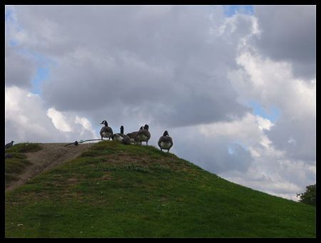 P2160450