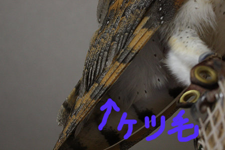 mame H21.7.30 2