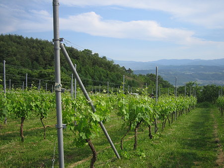 20090612_079