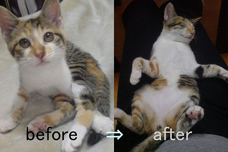 beforeafter