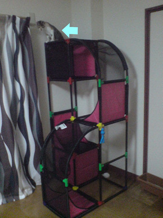 2009080601