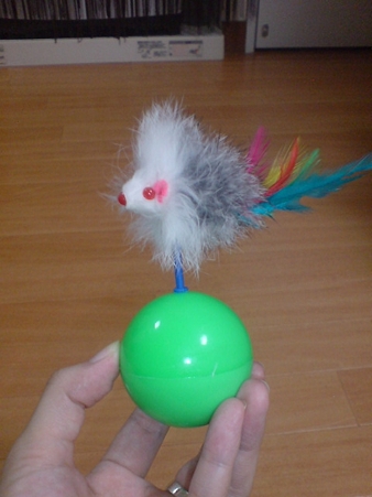 2009081302