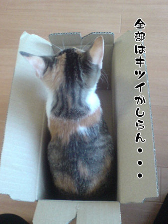 2009081603