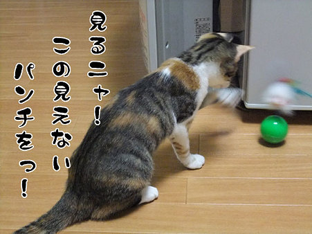 2009082003