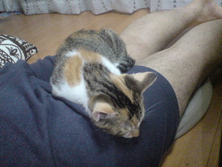 2009070803