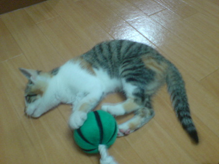 2009071504