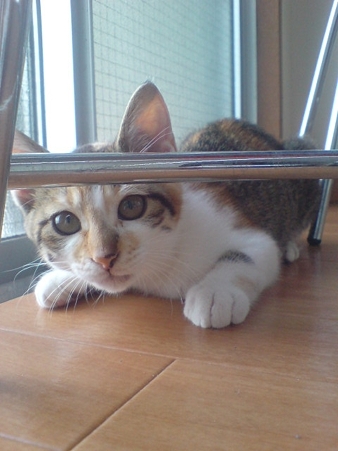 20090720