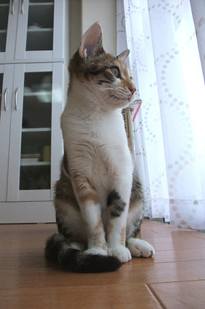 2009082902