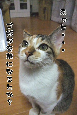 2009083002