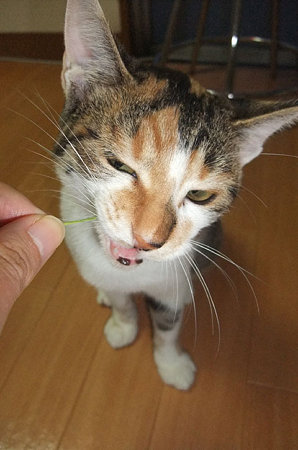 2009090504
