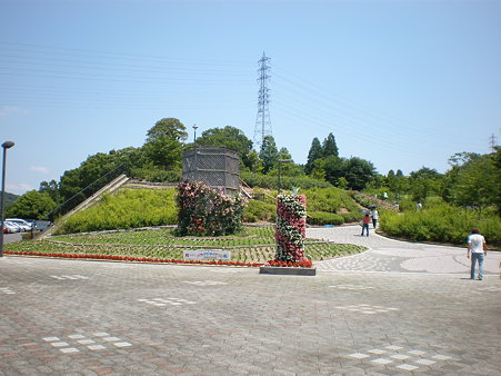 市民四季の森・バラアジサイまつり_23