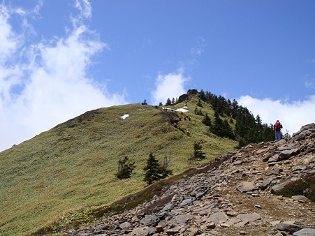 110524遭対協 根子岳 (4)