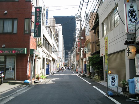 2009.06.07 秋葉原(11/20)
