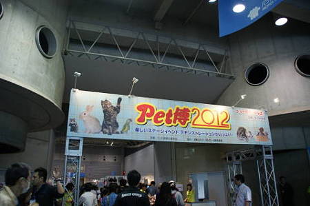 DSC05375