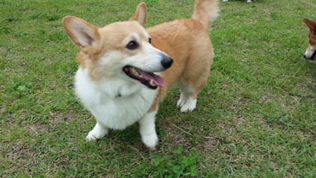20140622_151848