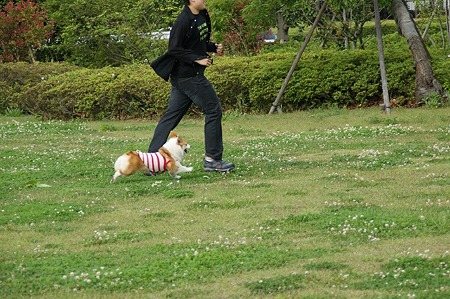 DSC08465