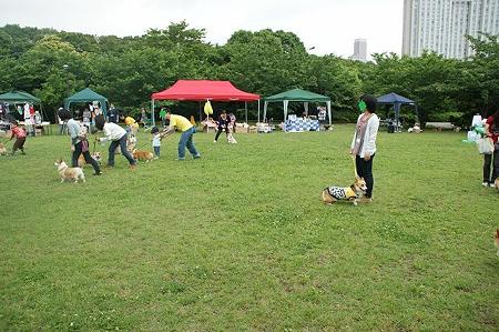 DSC08841