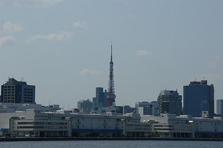 DSC09065