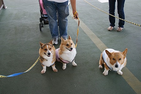 DSC09101