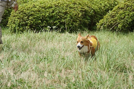 DSC09934