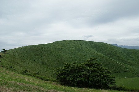 DSC00734