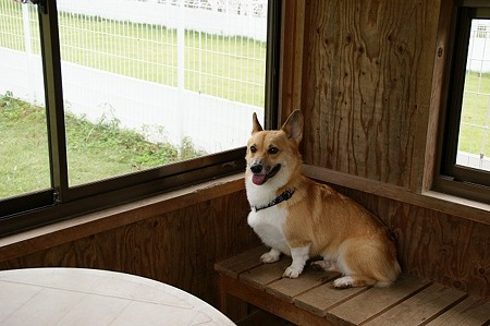 DSC01526
