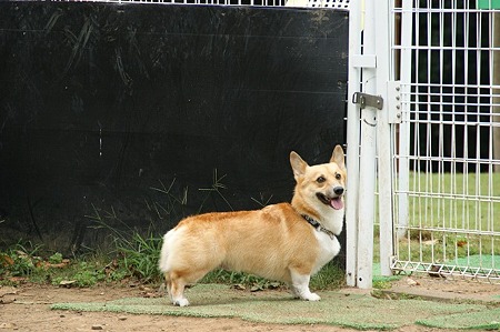 DSC01538