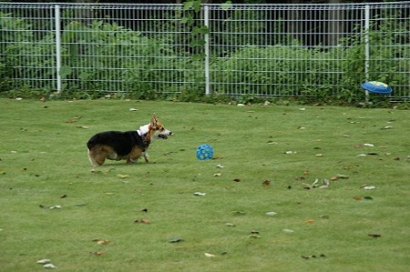 DSC01553