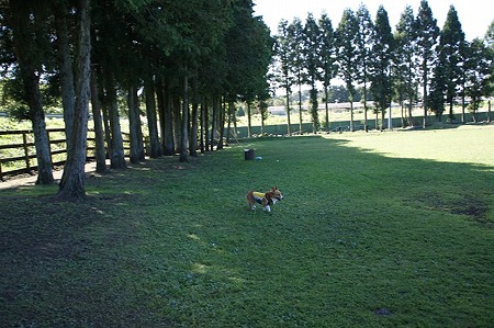 DSC01649