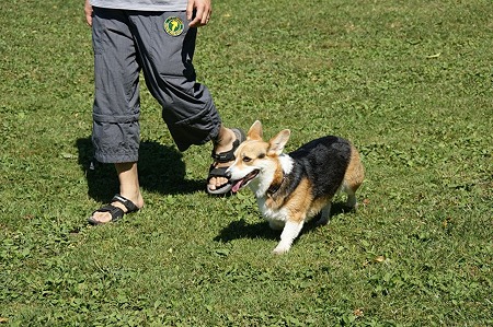 DSC01729