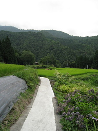07　秋山郷1　蛇淵の滝1