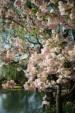 SMENA_FUJI_PRO400H05052011-01