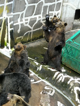 20090806_NOBORIBETSU（０６）