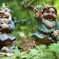 Photos: PICT0575