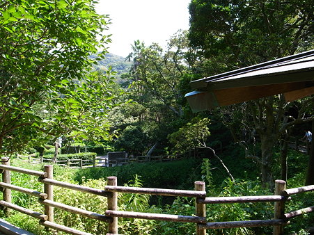 周囲を木柵で囲まれた堂ヶ島天窓洞