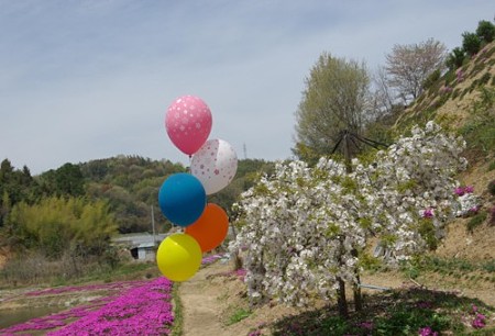 IMGP0032_0415