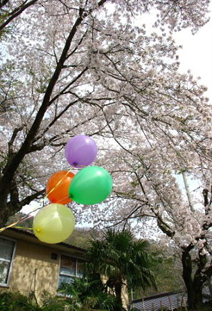 IMGP0005_0415a