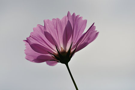 DSC_0117_1622