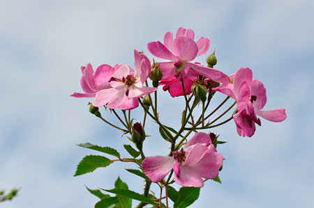 DSC_0070_1659