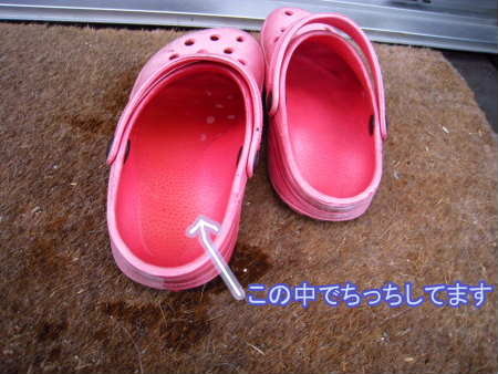 PIC00003