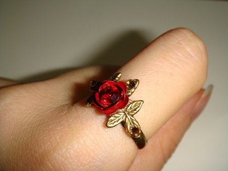 装着図@Michal Negrin