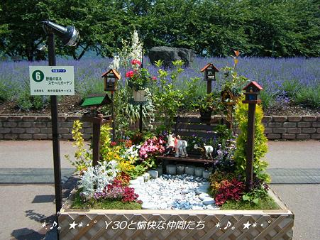 DSCF8682_pa