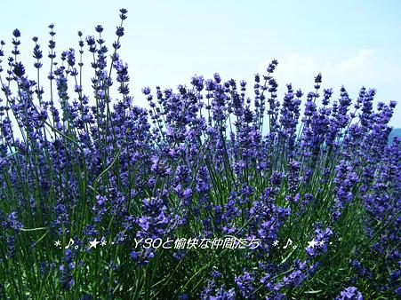 DSCF8721_pa