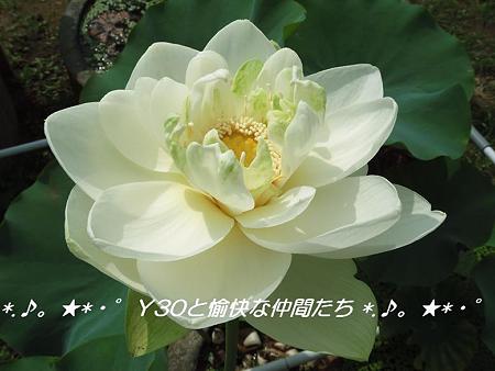 DSCF0059_pa