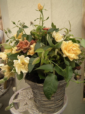DSCF0363